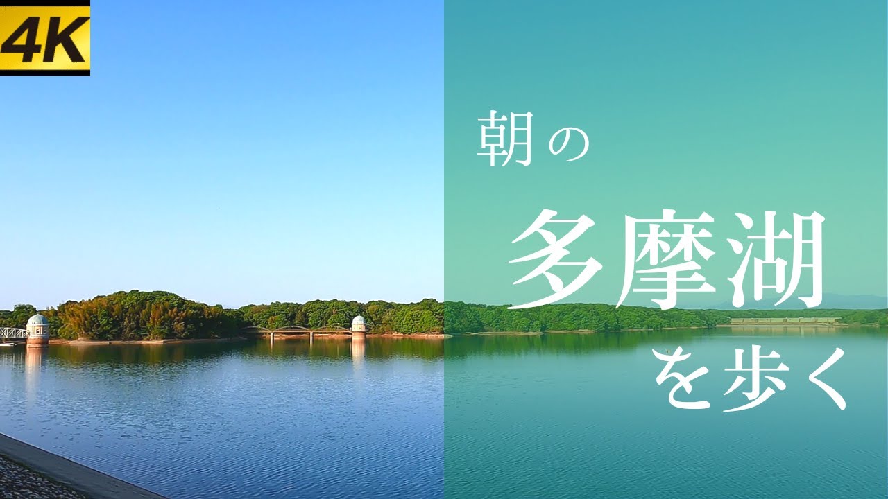 【4K UHD】Утренняя прогулка в TAMAKO TOKYO ЯПОНИЯ