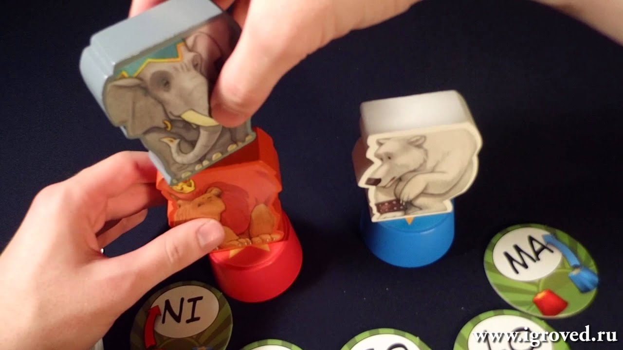 Crazy Circus. Board Game Review by Igroved