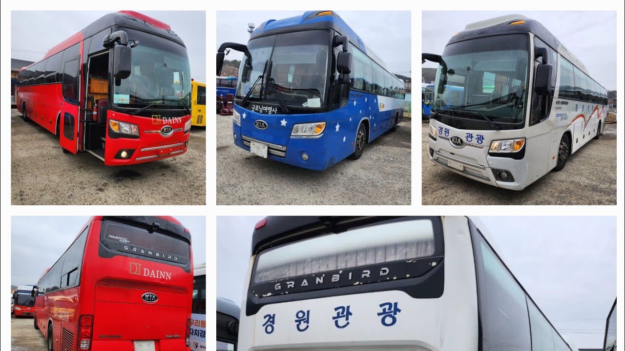 VIDEO: Korea Used Bus KIA GRANDBIRD 47-SEATER FULL OPTION