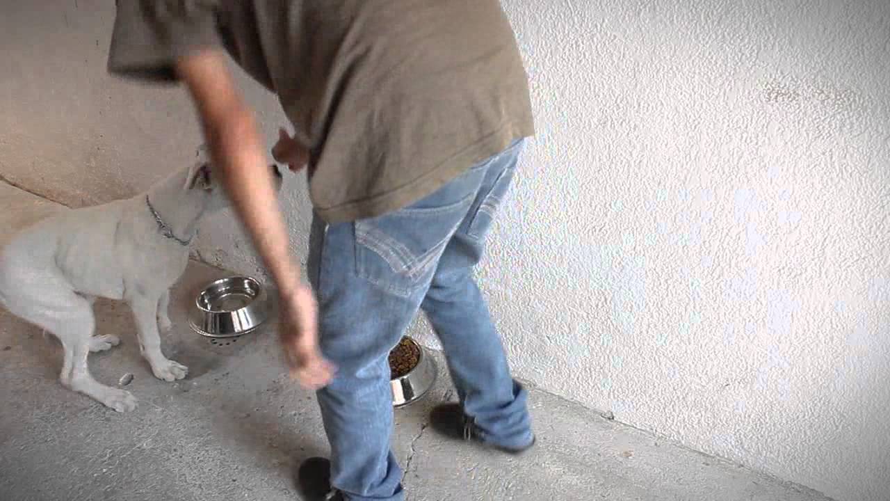 Nico desayunando