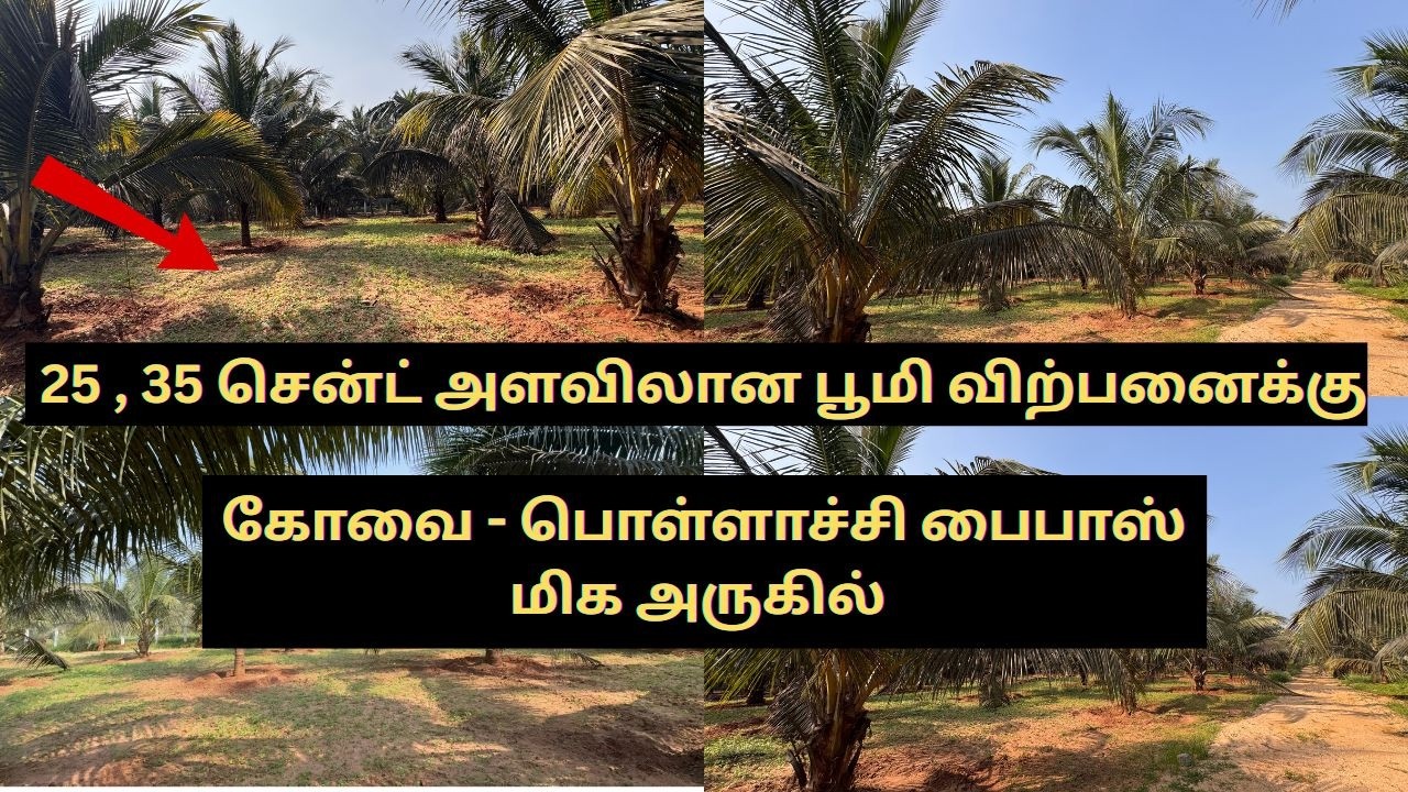 Premium Gated Coconut Farm Land Near Coimbatore – Close to Kinathukadavu & Pollachi Bypass