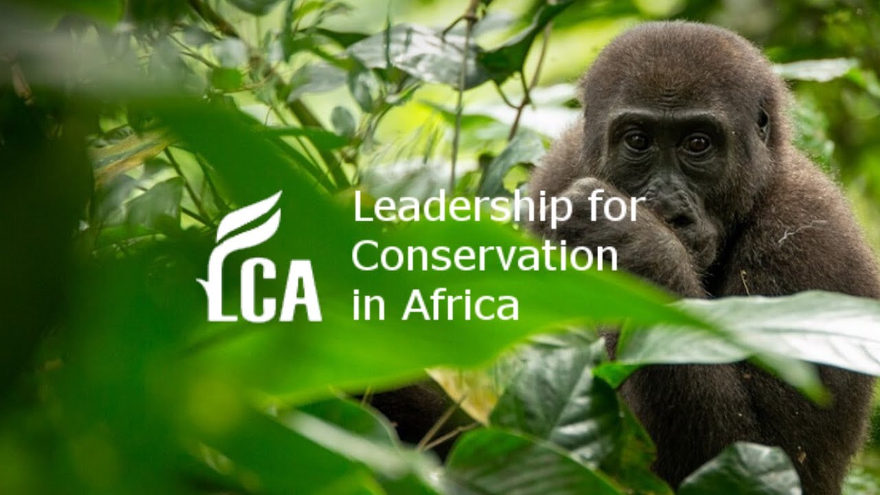 10 things you probably did not know about the Congo Basin by Paul Telfer