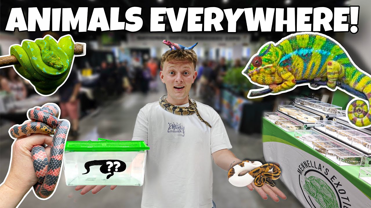 I SPENT OVER $3,000 AT THIS REPTILE EXPO! *INSANE*
