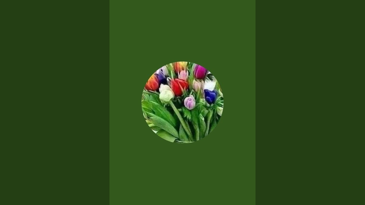 El canal de Meli y sus plantas está en vivo