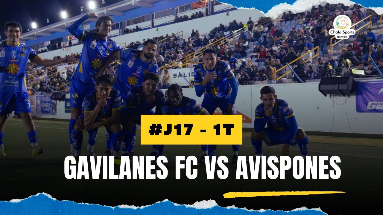 Gavilanes FC vs Avispones 