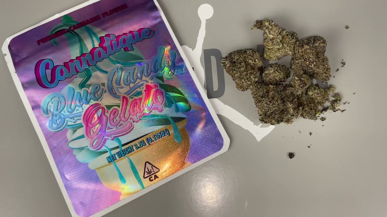 CANNATIQUE TIME ....... GAStv exclusive