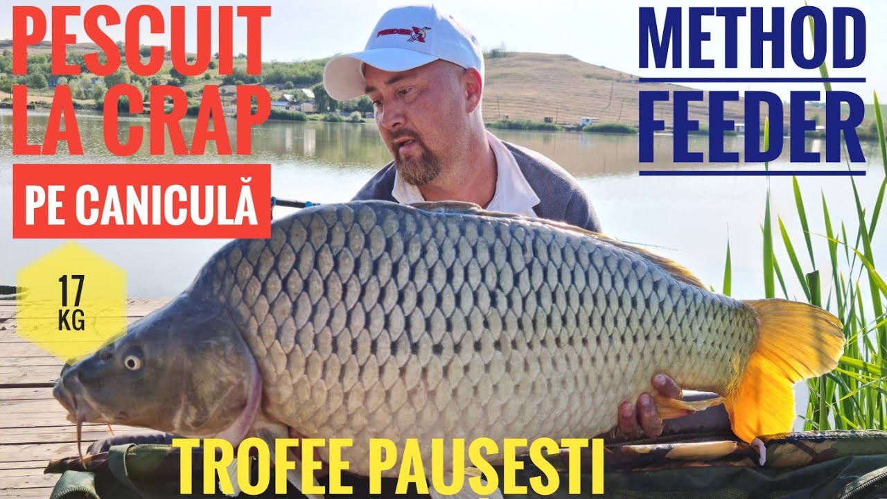 Pescuit la crap pe caniculă cu method feeder!
