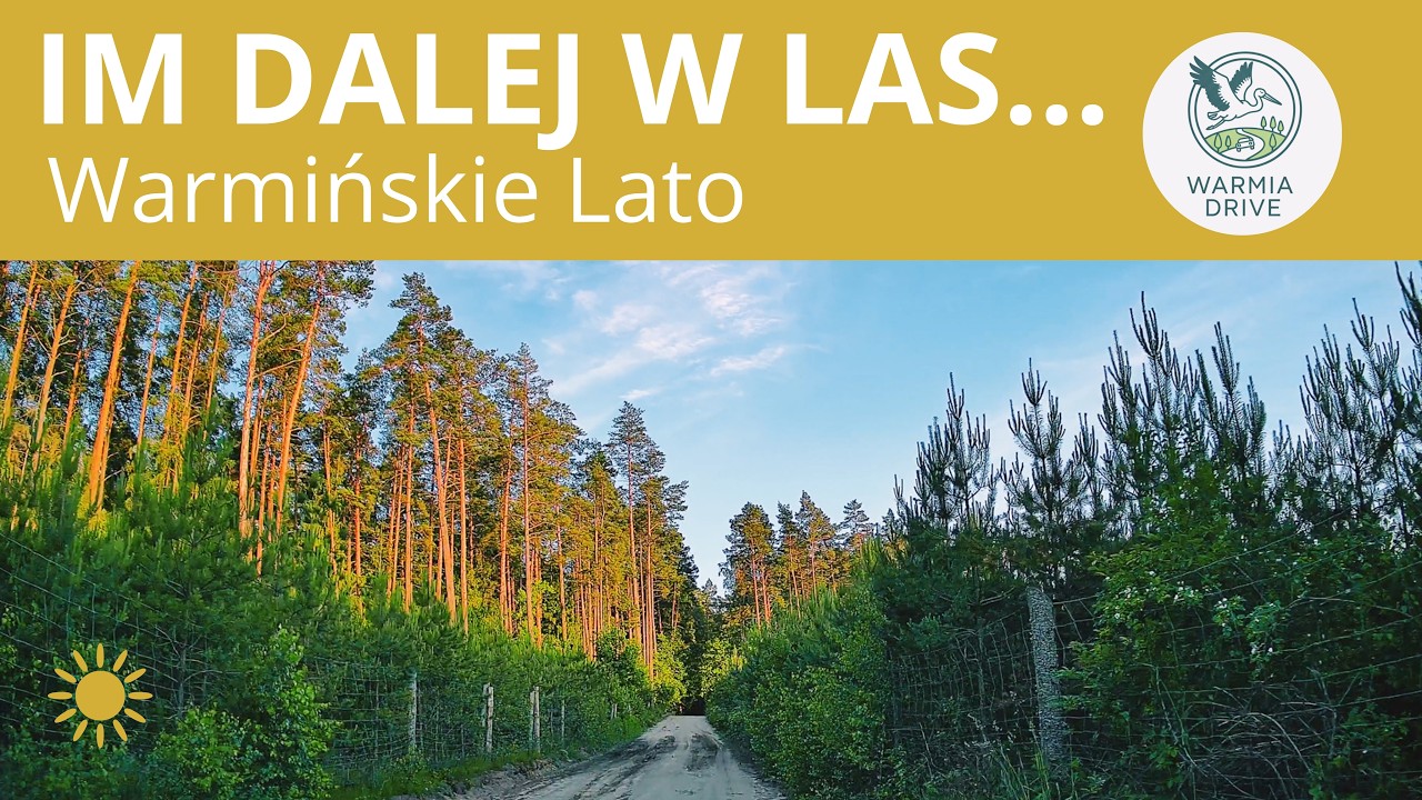 ☀️ Ciepłe światło, leśna droga | Naglady &rarr; Unieszewo | Warmia, Polska | Slow Drive