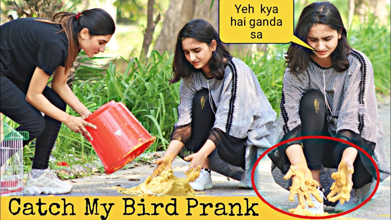 Grab My Pigeon Prank@Crazy Comedy
