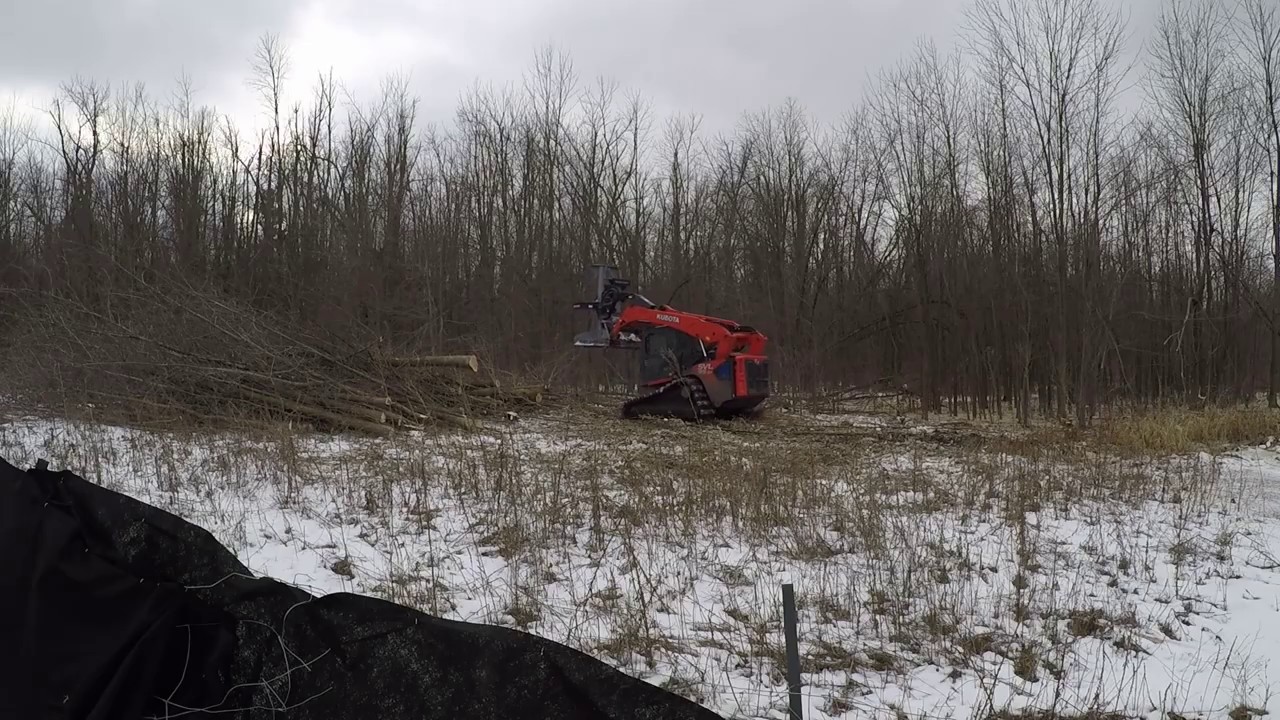 FBS752 BAUMALIGHT FELLER BUNCHER HEAD FIRST RUN!