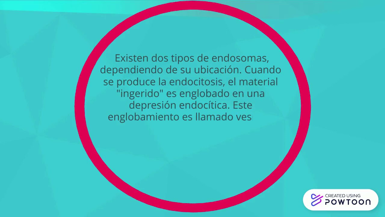 ENDOSOMA