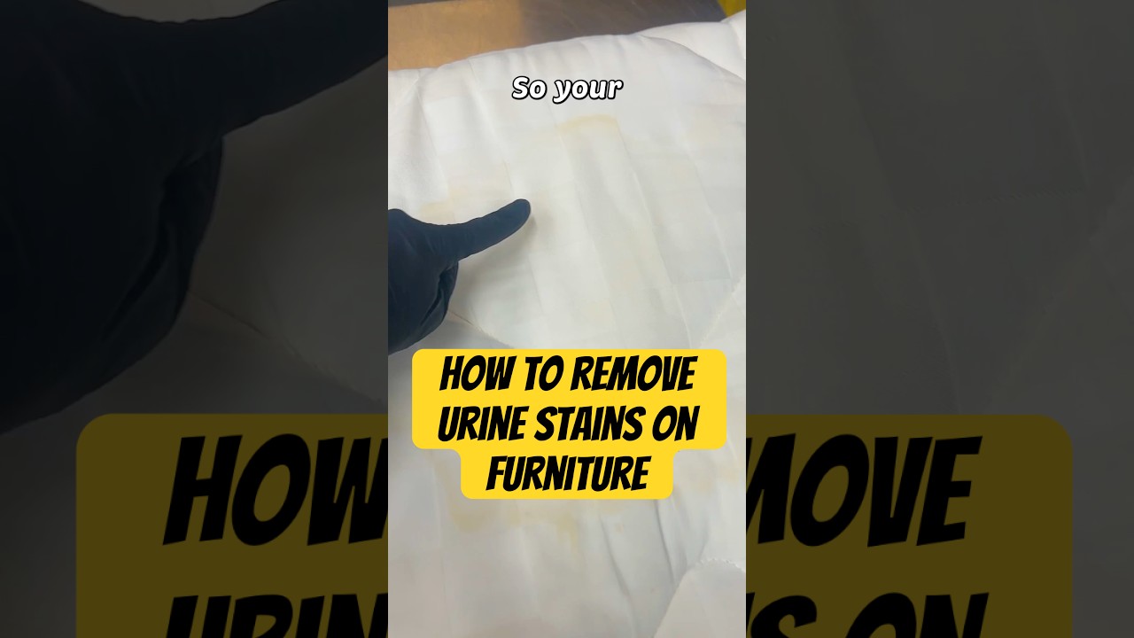 How To Remove Urine Stains On Furniture #cleaning #stainremoval