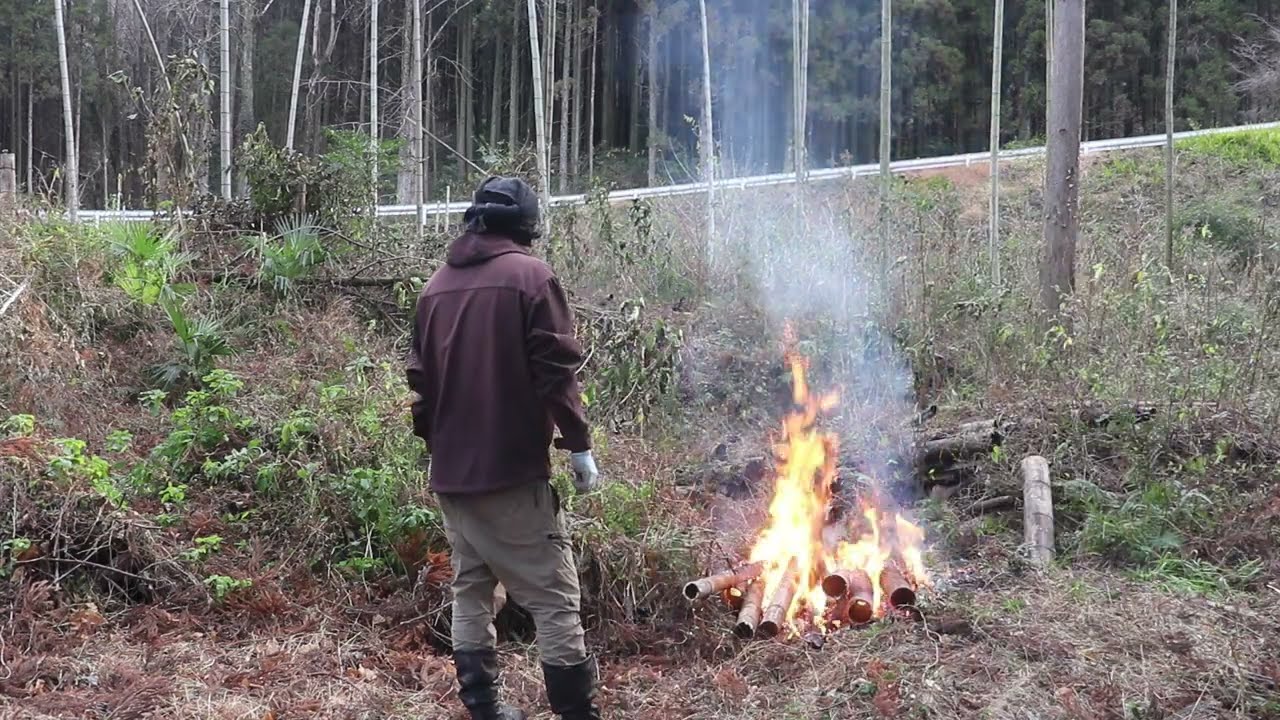 危険な杉の枝を回避！安全に進める枯れ竹焼却と畑作り