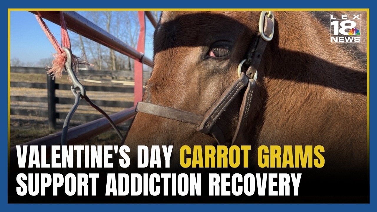 Horse Country's Valentine's carrot grams support addiction recovery program