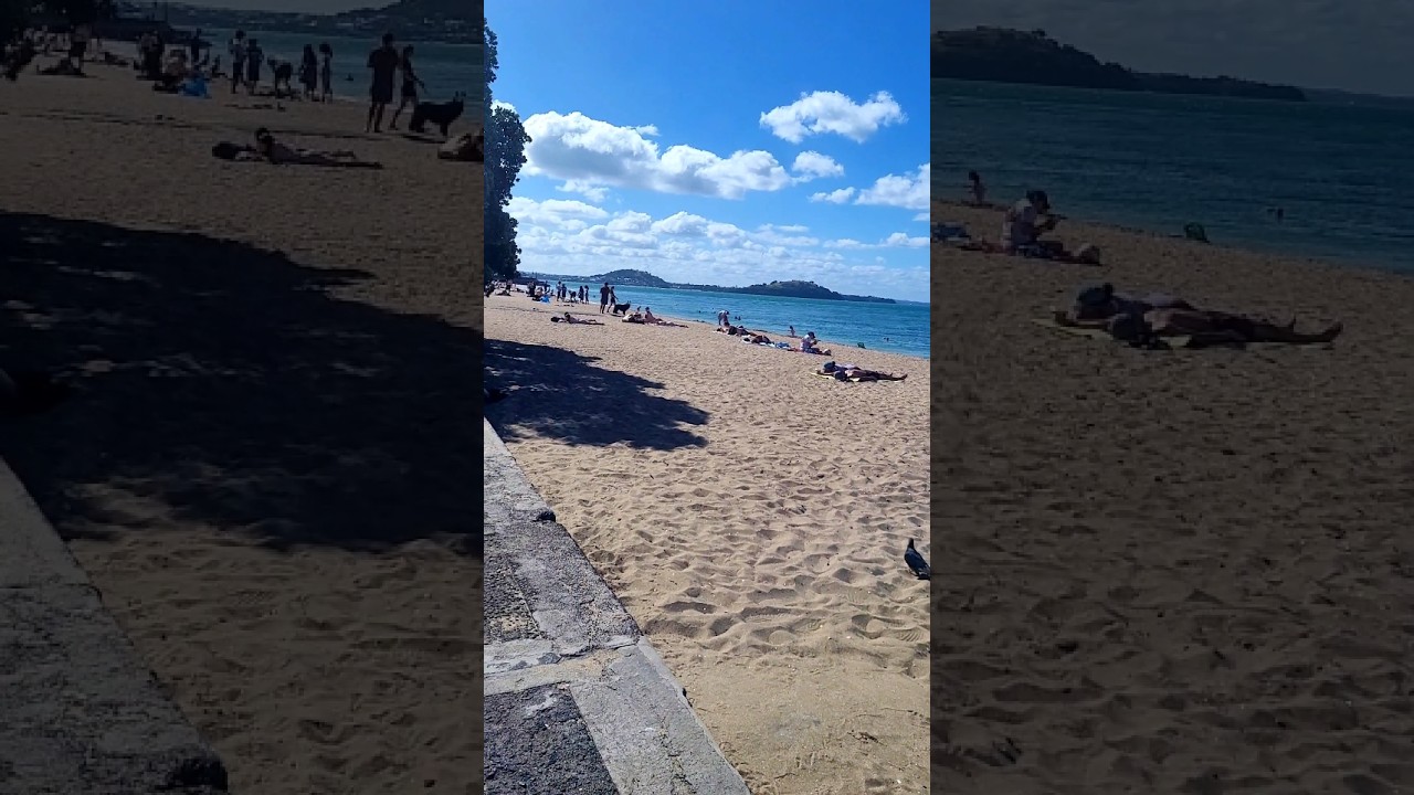 Watch complete vlog on my channel. 🤙 #aucklandnz #travel #indian #nzvlogger #internationalstudents