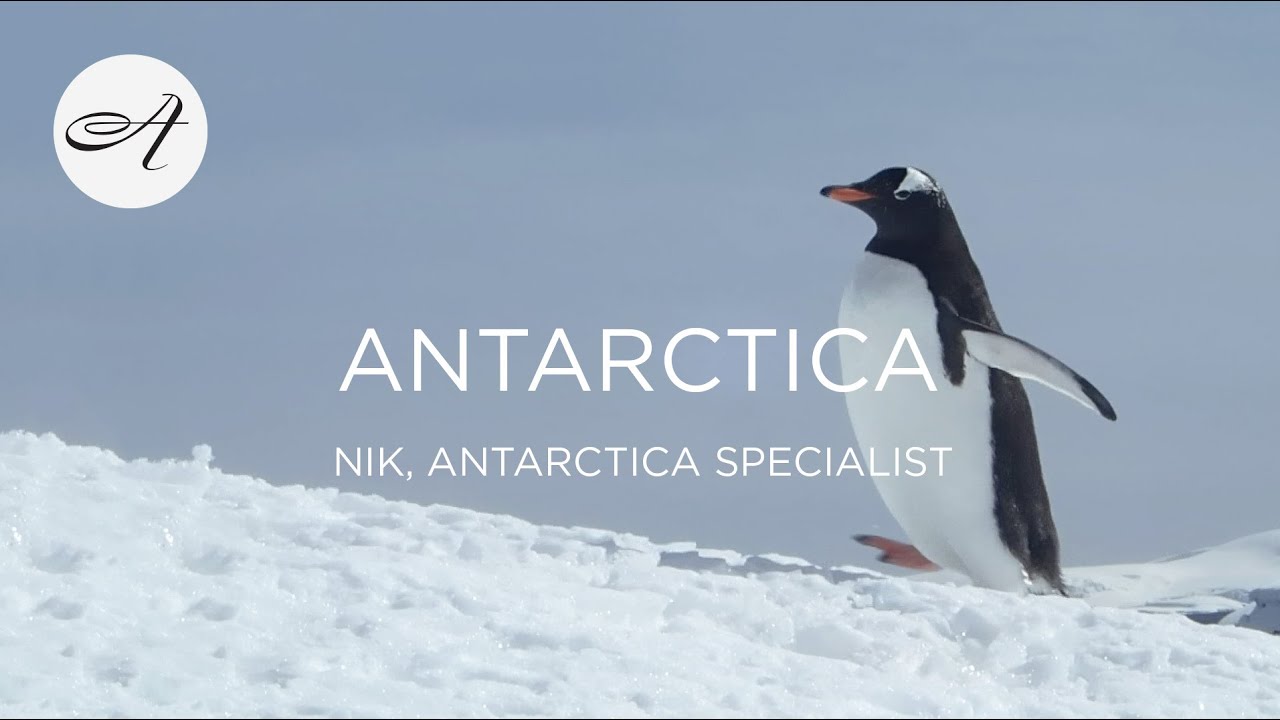 My travels in Antarctica with Audley Travel