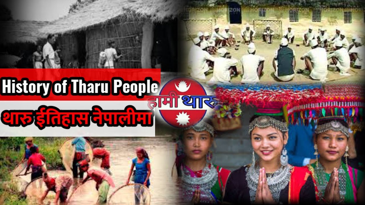 History of Tharu People| थारु इतिहास नेपालीमा| New tharu video| History of Tharu in Nepal|
