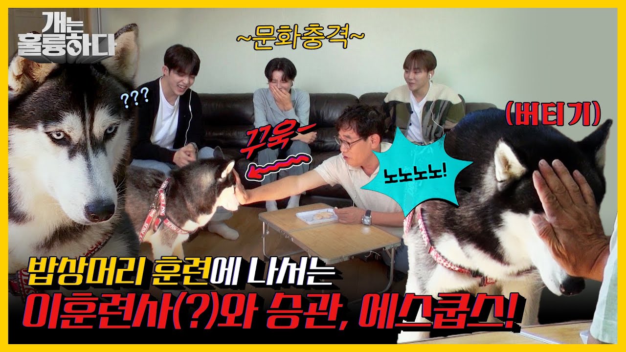 [#피크타임] 이경규의 밥상머리 교육법(?)을 전수받은 승관 & 에스쿱스 | #개는훌륭하다 | KBS 211025 방송