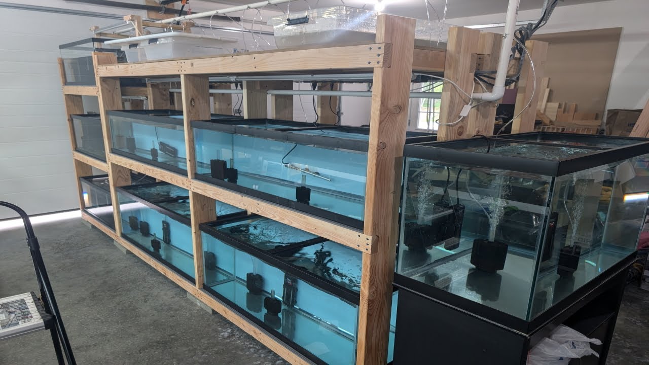 Making Bigger Fish Tank Racks