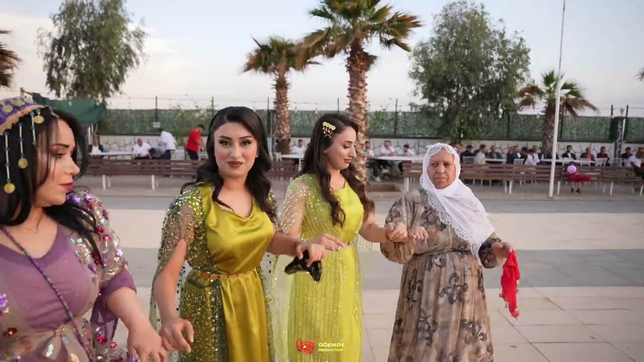 Ömer Arpe Dügünü Part 3 ( Grup Musa Silopi ) 2025