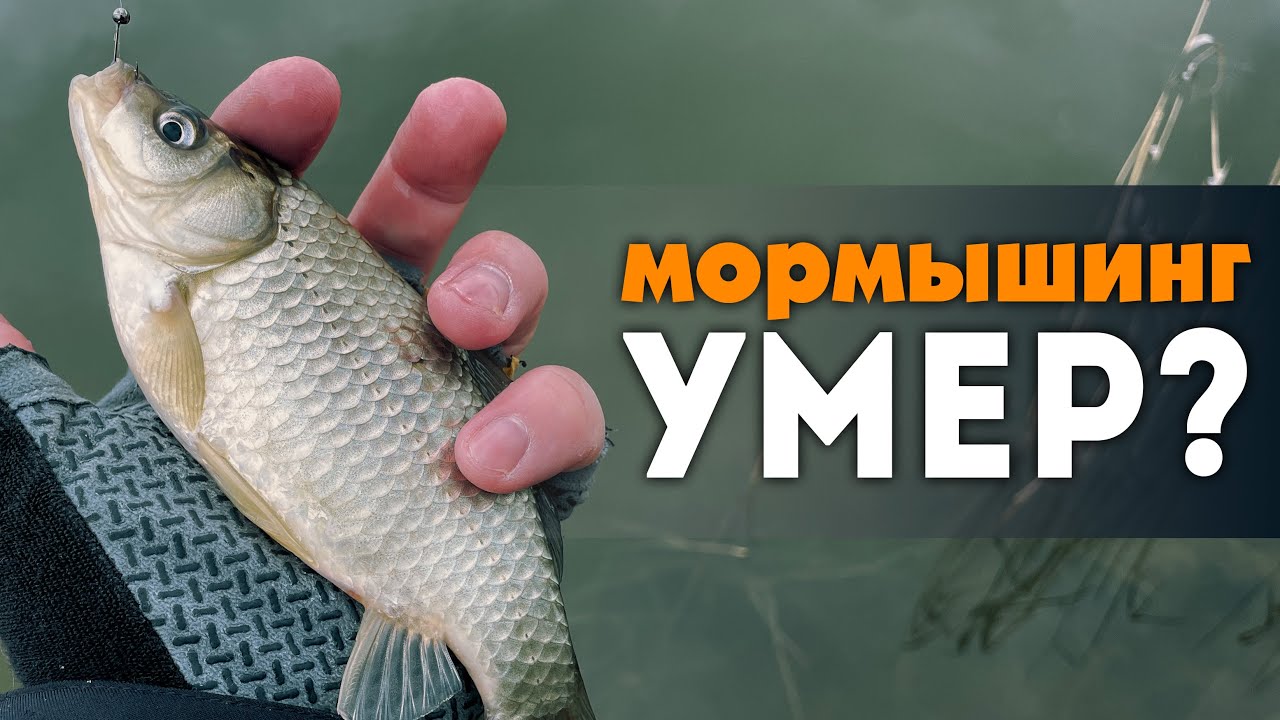 🎣 ПОЧЕМУ Мормышинг НЕ УМИРАЕТ? КАРАСЬ и РОТАН 2025! Снасти, Тактика, Советы #мормышинг #стритфишинг