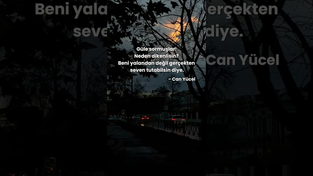 Can Yücel 