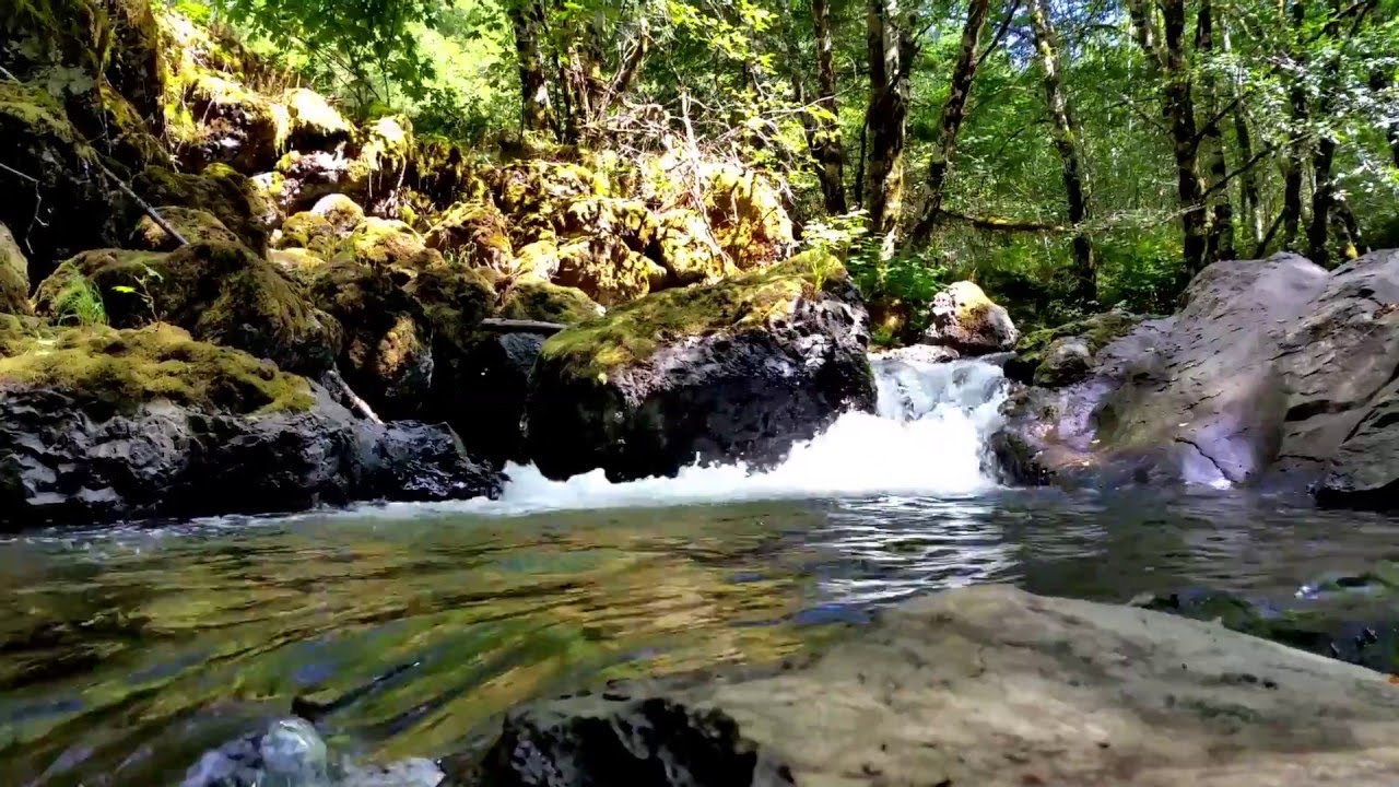 Explore Oregon Recreation: Nestucca River