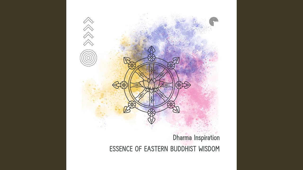 Finding Calm in Chaos