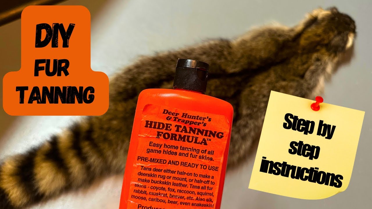Tanning a Racoon Hide | DIY Step by Step Process