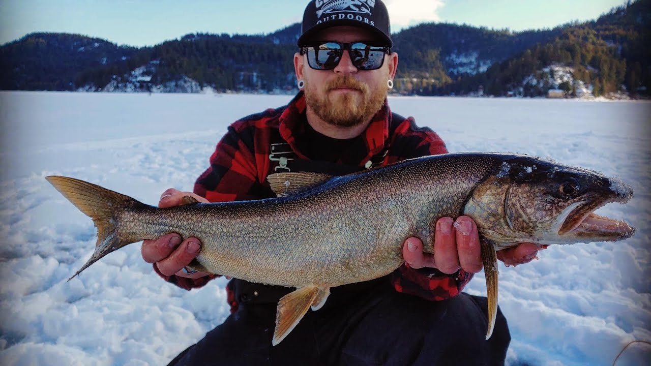 Some nice lake trout out of Deer Lake Wa