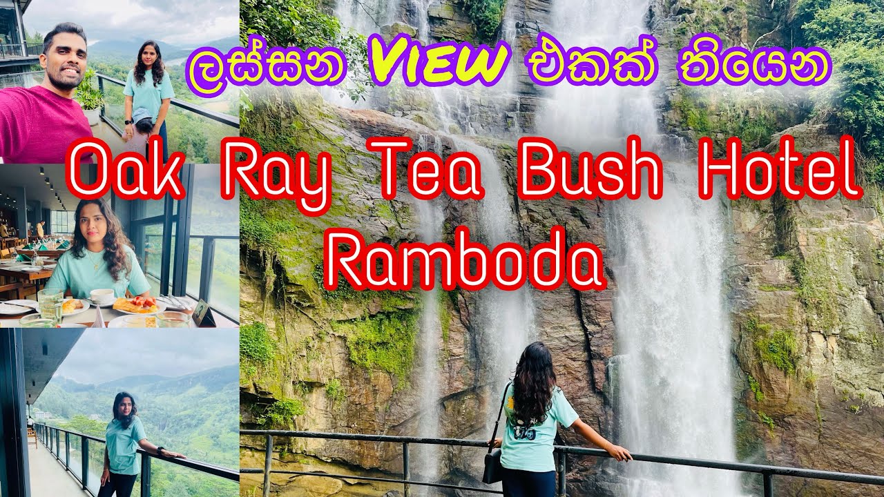 Oak Ray Tea Bush Hotel Ramboda | ලස්සන view එකක් තියෙන hotel එකක් 😍