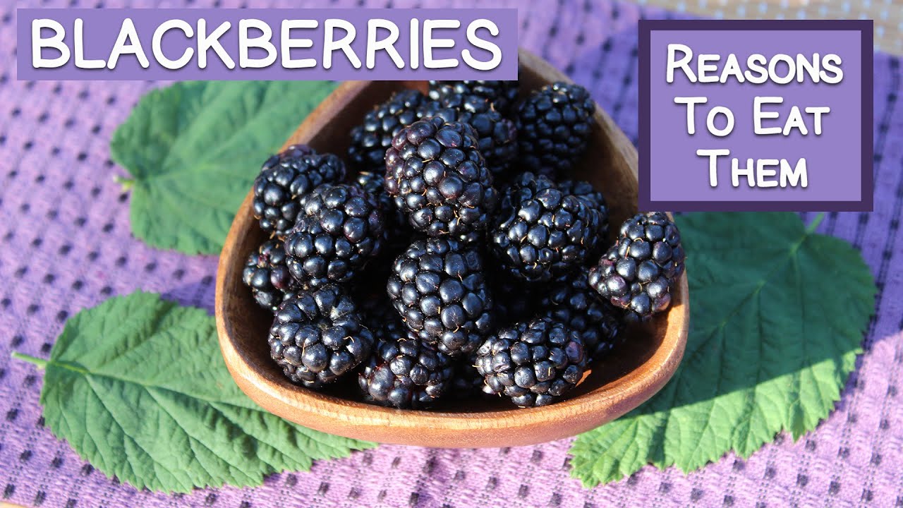 Blackberries and Their Beneficial Properties | Top Reasons to Eat Them