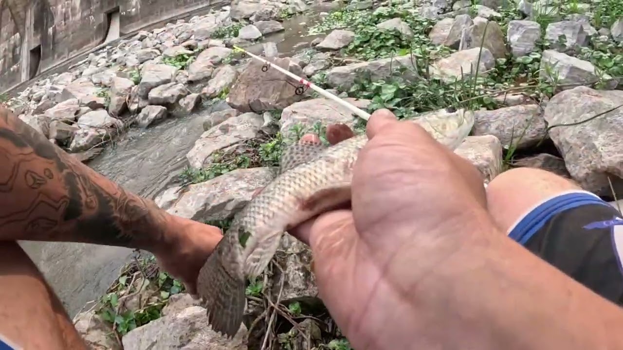 pesca y caminata por el dique Roggero,salieron las primeras taruchitas