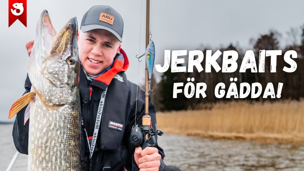 JERKBAITS för GÄDDA!