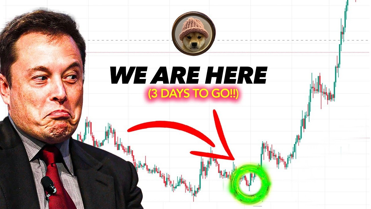 Should You Buy Dogwifhat NOW?? Project Update