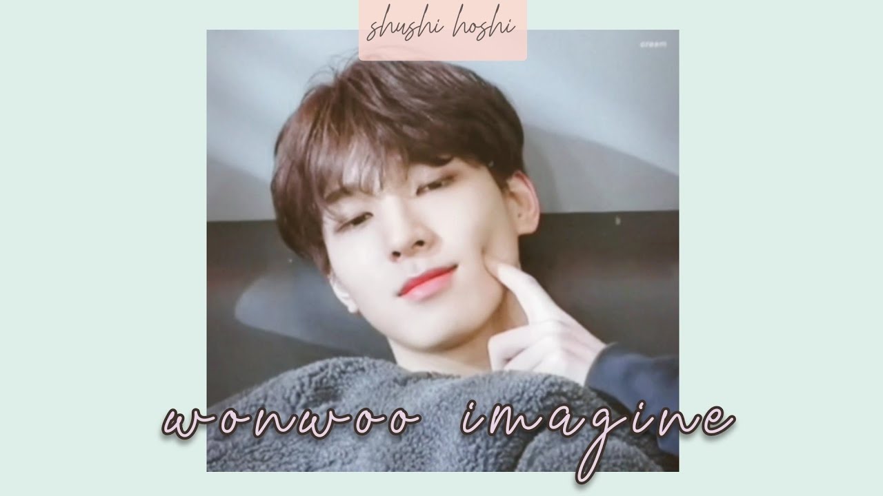 wonwoo imagine | seventeen ♡