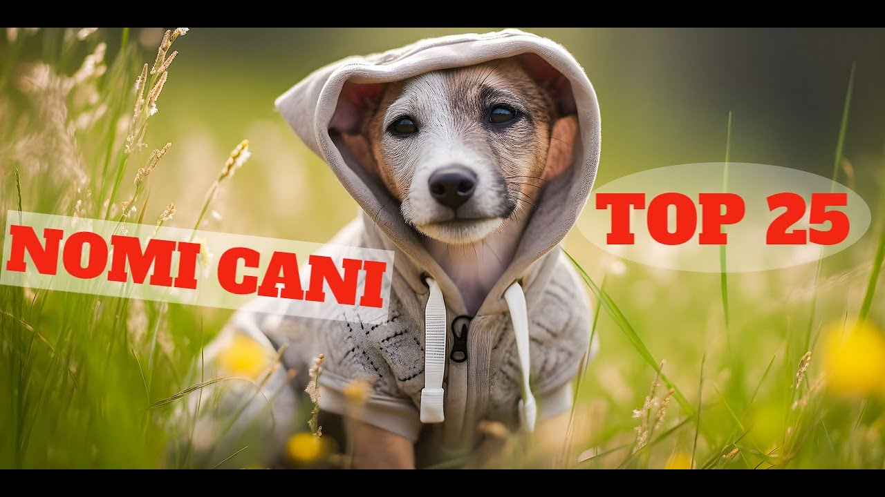 TOP 25 migliori nomi per cani maschio e femmina in ITALIANO! 🐕Idee di nome di cane🐕 