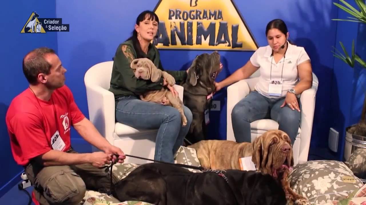 Entrevista Naara Monteiro   Mastino Napoletano