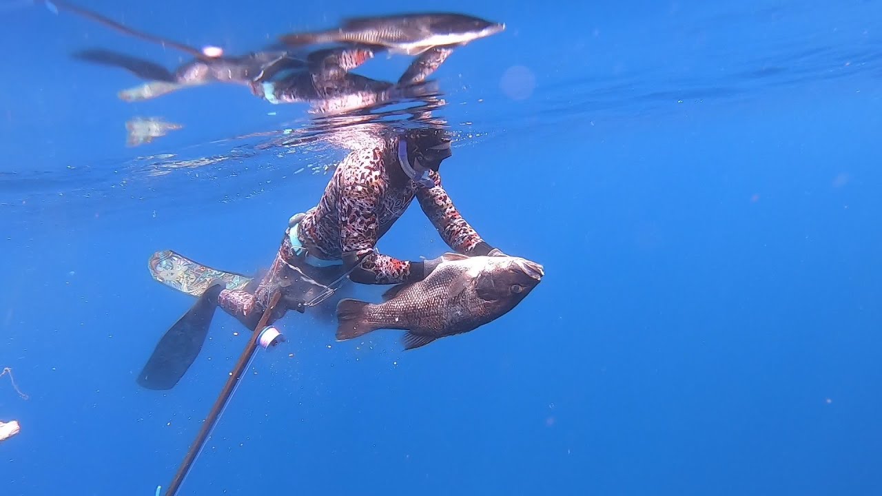 Boys Trip North, Spearfishing Western Australia