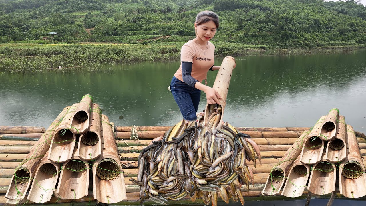 Girl Sets Clever Fish Trap with Bamboo Pipe - Lake Life Riches