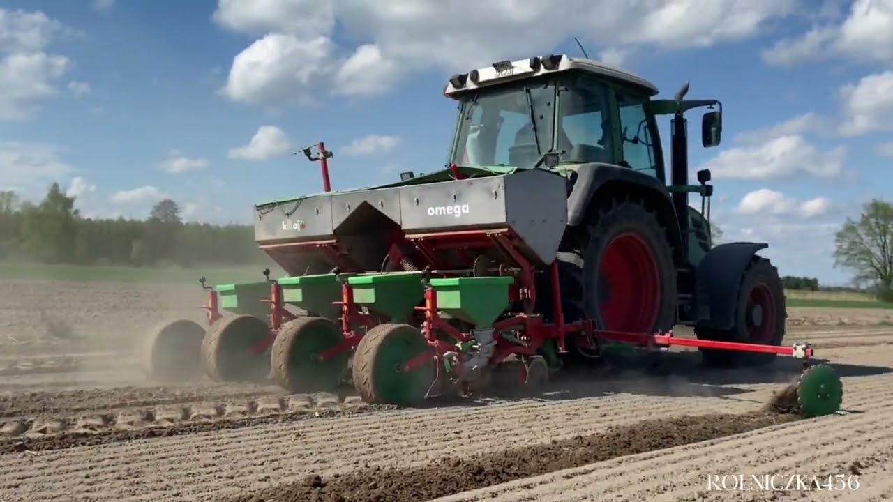 Siew kukurydzy 2025🌽😜