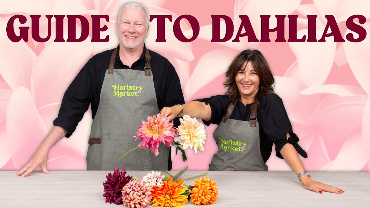 Георгины — всё, что вам нужно знать! | Флористический рынок