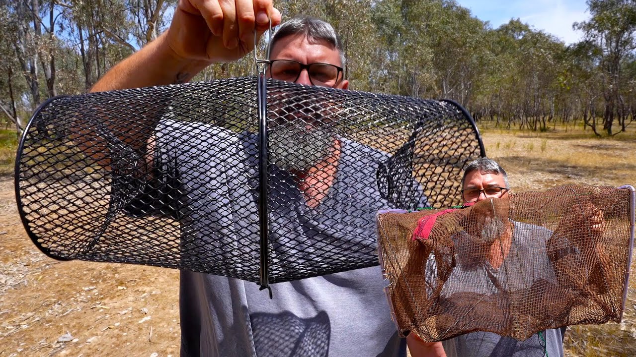 Yabby Net Showdown, Which Shrimp Trap Will Catch The Most Yabbies?