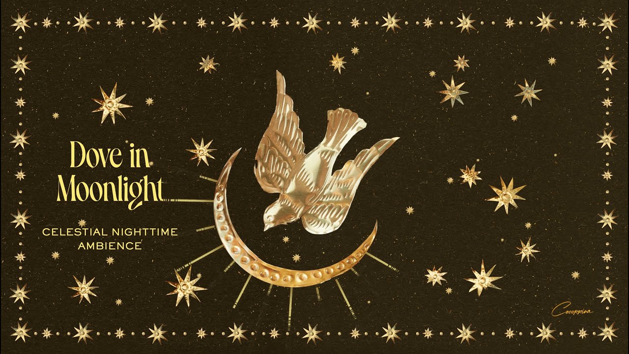 Dove in Moonlight &ndash; A Celestial Nighttime Ambience