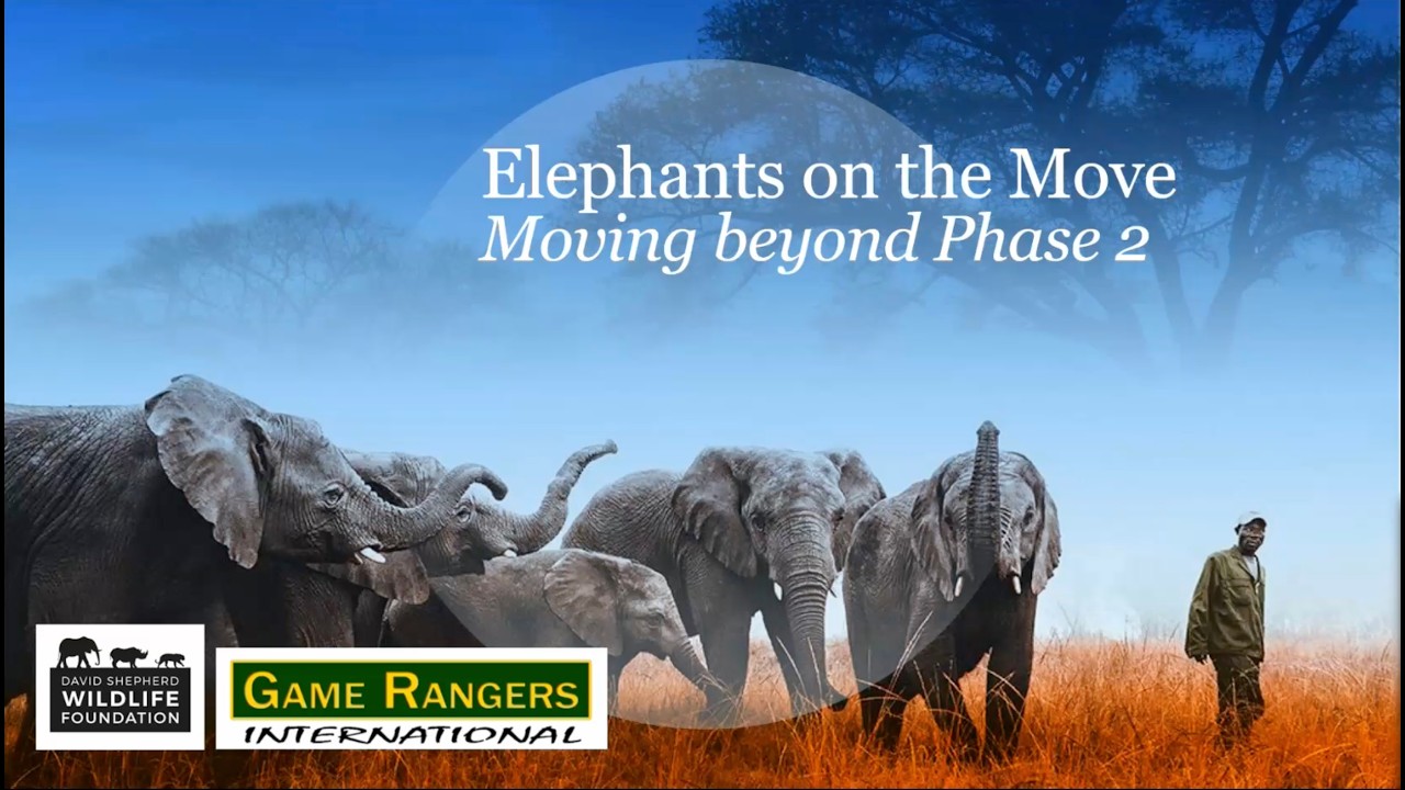 Elephants on the Move Moving Beyond Phase 2 Webinar - Jan 2026