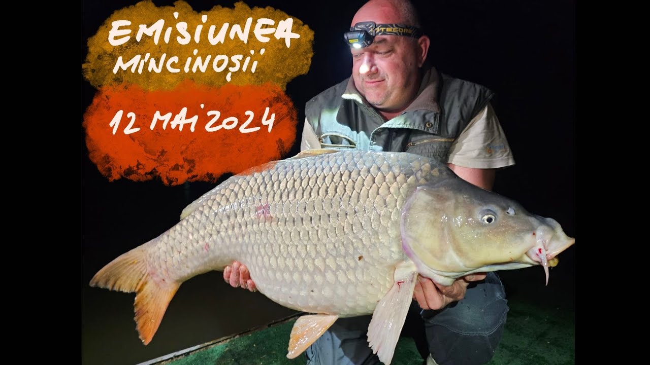 Mincinoșii - 12 mai 2024
