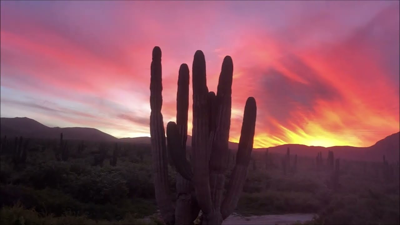 Baja California Center