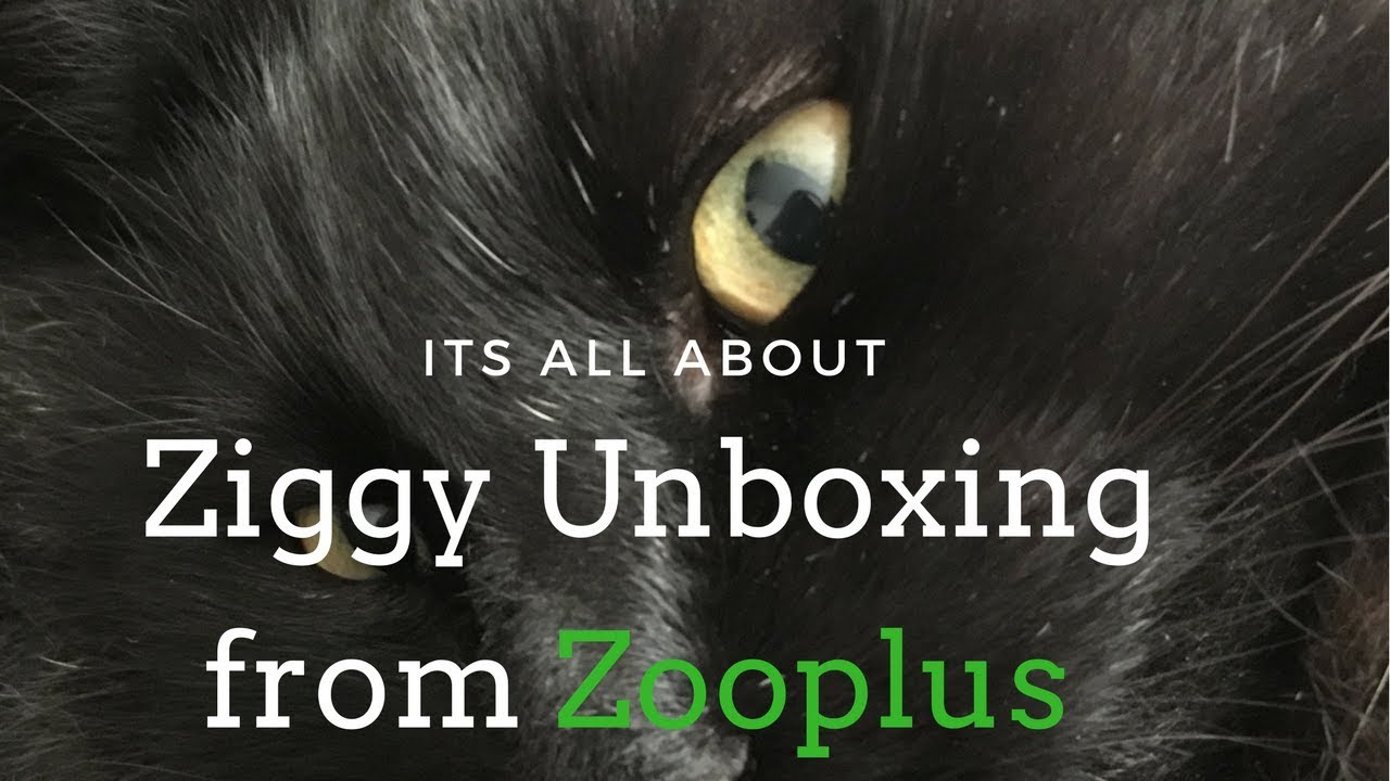 Unboxing ziggys food from zooplus