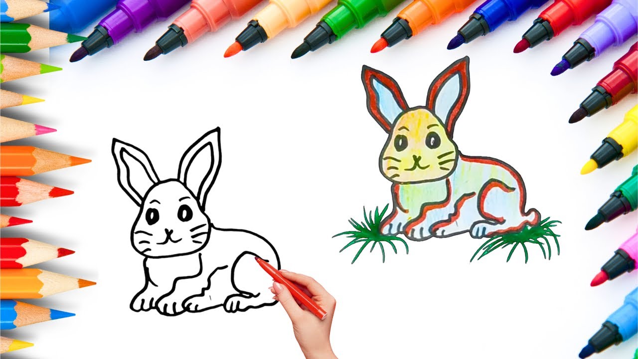 How To Draw cute Rabbit Drawing, Painting & Coloring For Kids and Toddlers_🌈🎨
