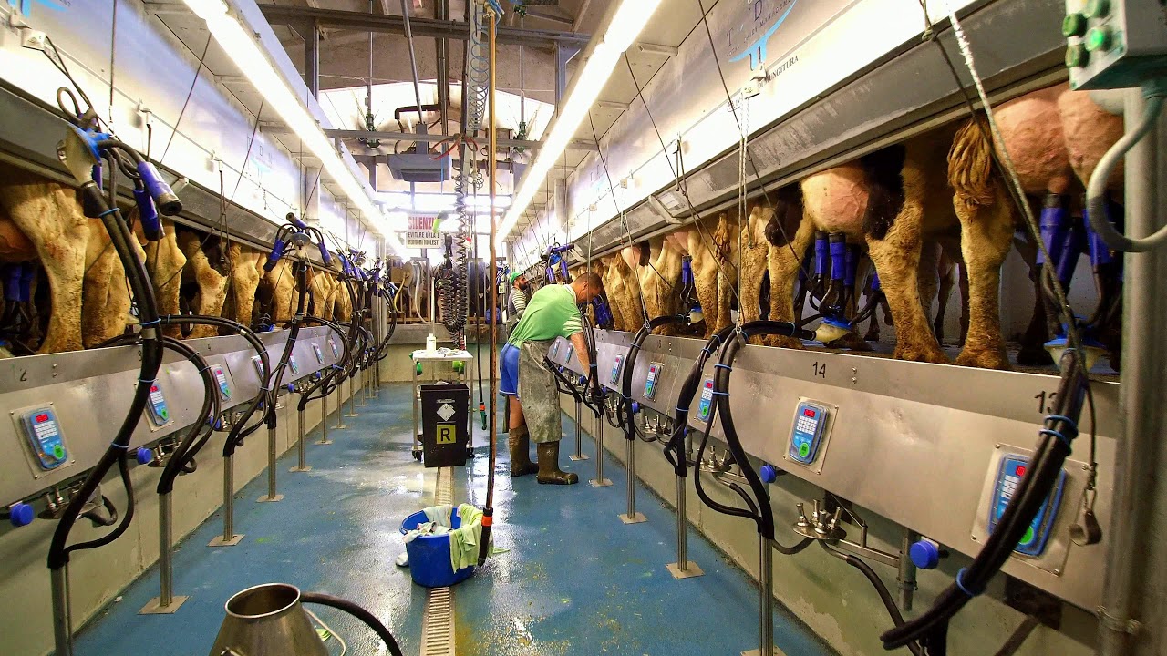 Azienda Agricola Fratelli Ancellotti